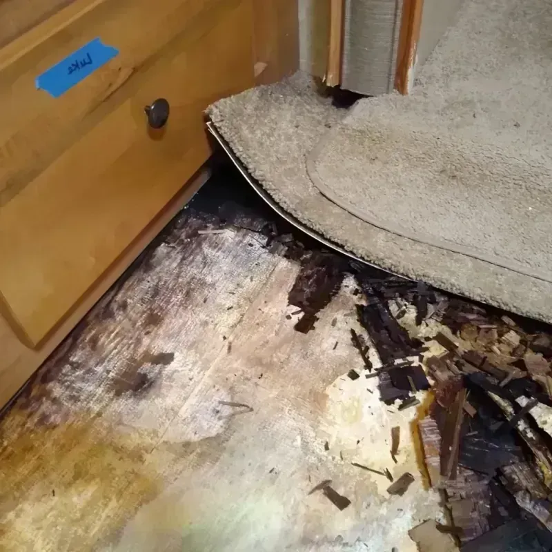 Wood Floor Water Damage in Dickinson, ND